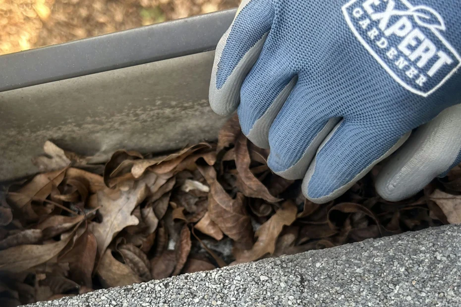 Gutter Cleaning North Collinwood