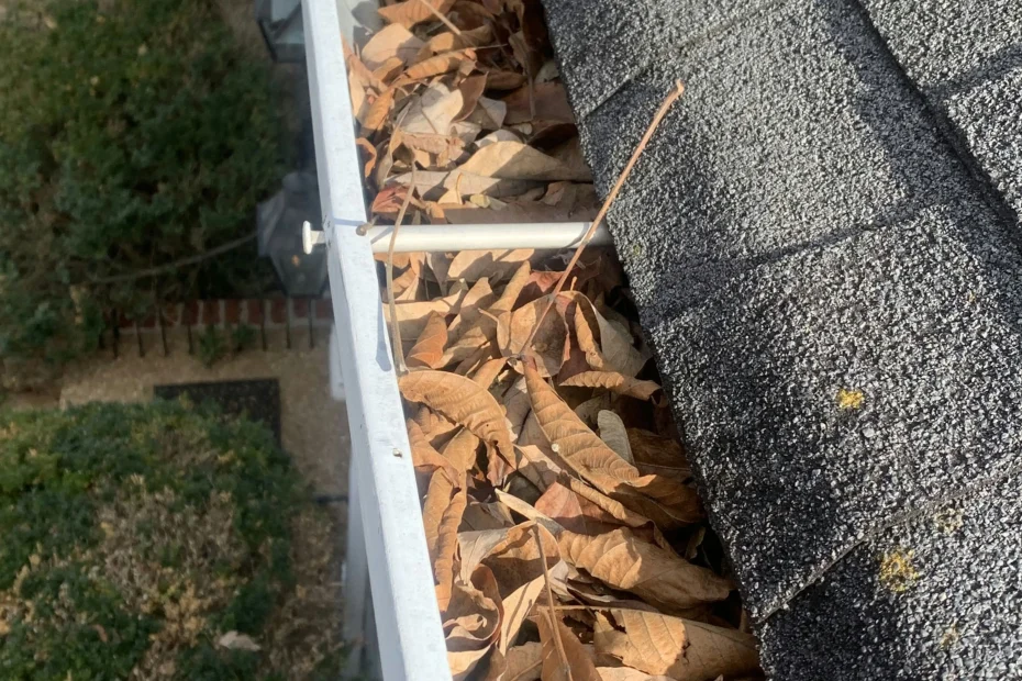 Gutter Cleaning North Collinwood