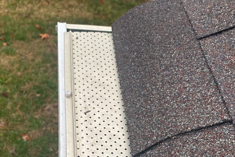 Gutter Cleaning North Collinwood