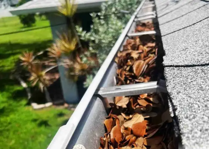 Gutter Cleaning North Collinwood home page